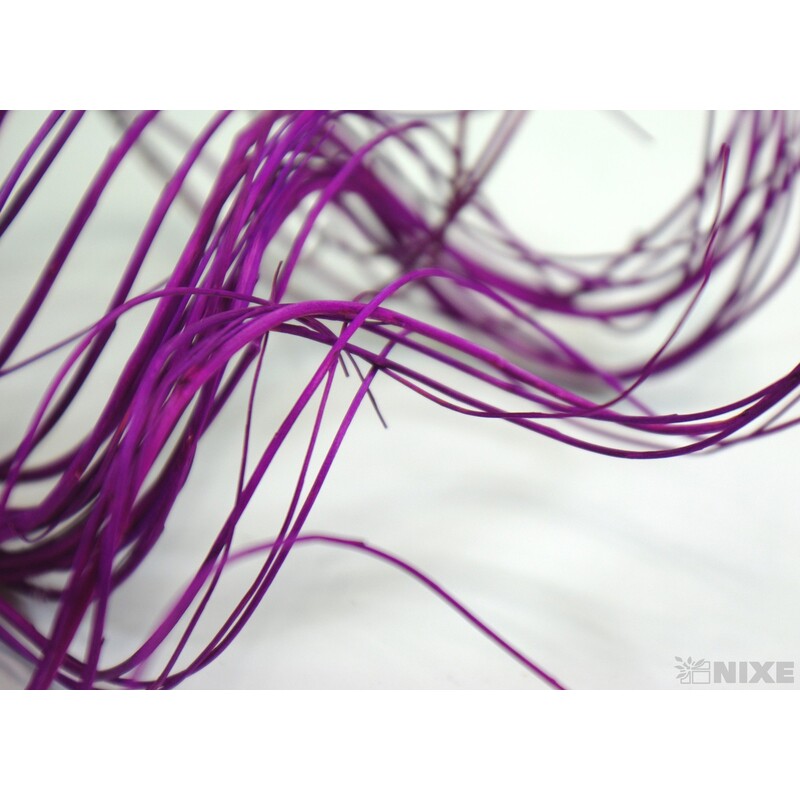 CURLY WILLOW HALF 60cm*FIALOVÁ