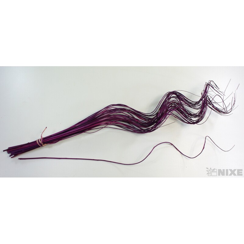 CURLY WILLOW HALF 60cm*FIALOVÁ TM.