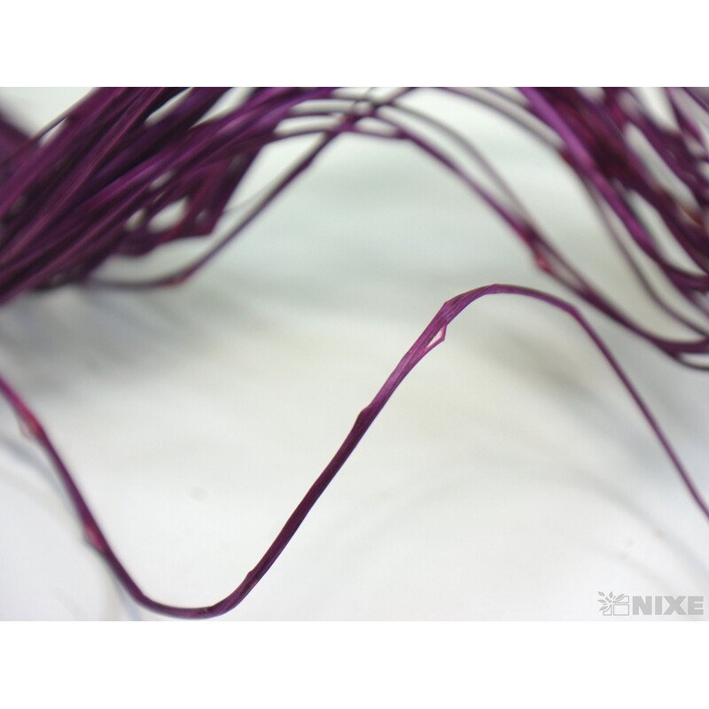 CURLY WILLOW HALF 60cm*FIALOVÁ TM.
