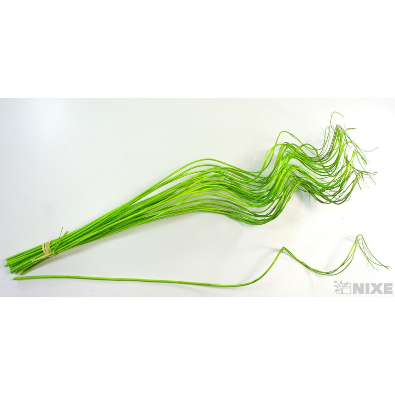 CURLY WILLOW HALF 60cm*ZELENÁ