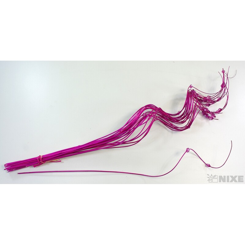 CURLY WIL. KORÁLKY 60cm*FUXIE