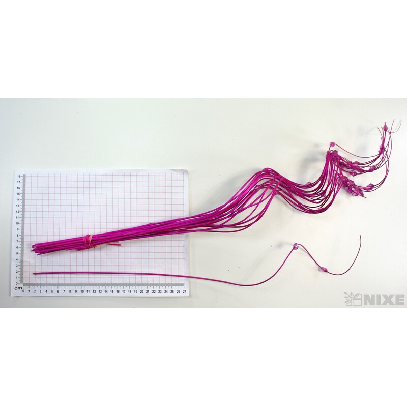 CURLY WIL. KORÁLKY 60cm*FUXIE