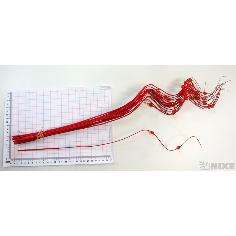 CURLY WIL. KORÁLKY 60cm*ČERVENÁ