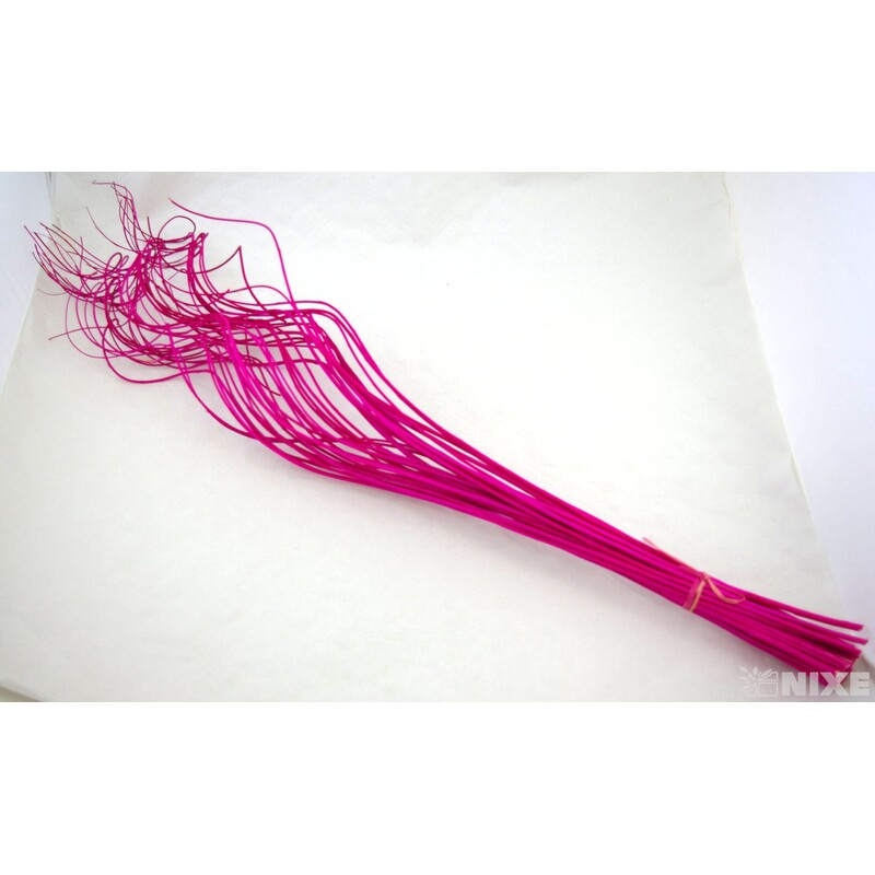 CURLY WILLOW HALF 80cm*FUXIE