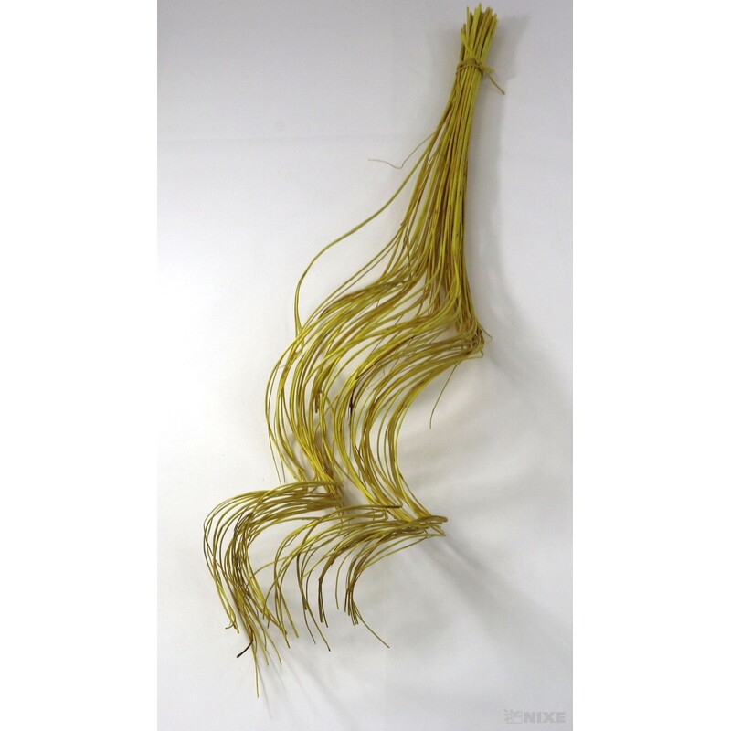 CURLY WILLOW HALF 80cm*ŽLUTÁ