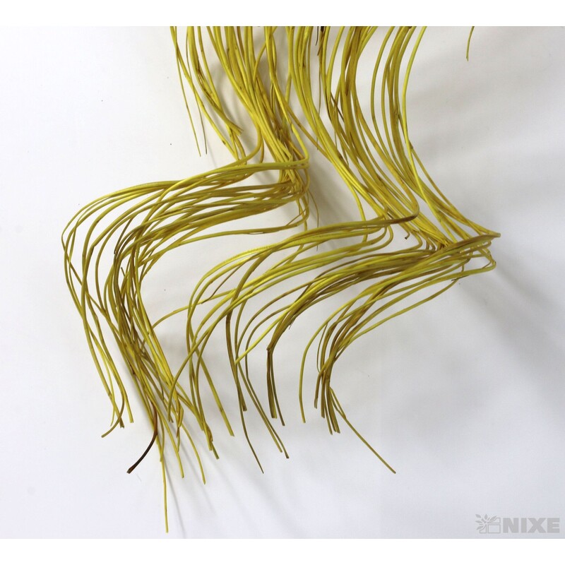 CURLY WILLOW HALF 80cm*ŽLUTÁ