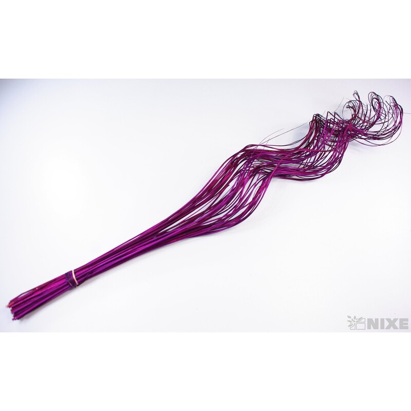 CURLY WILLOW HALF 80cm*FIALOVÁ TM.