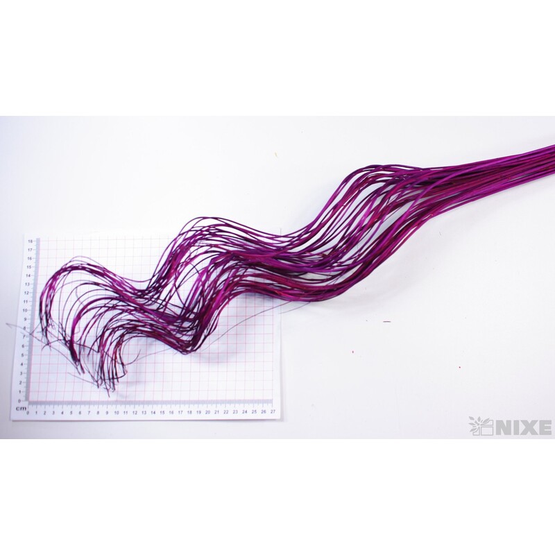 CURLY WILLOW HALF 80cm*FIALOVÁ TM.