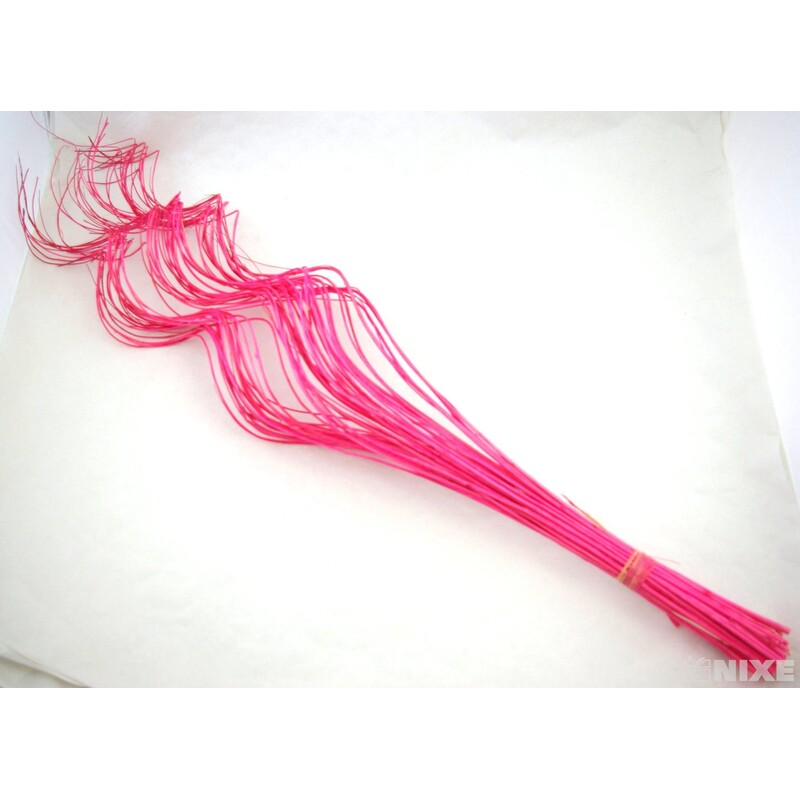 CURLY WILLOW HALF 80cm*RŮŽOVÁ