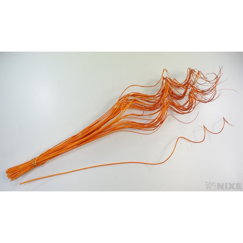 CURLY WILLOW HALF 80cm*ORANŽOVÁ