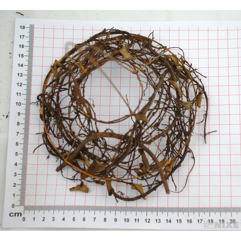 PODLOŽKA RFB9875 25cm S3*HNĚDÁ