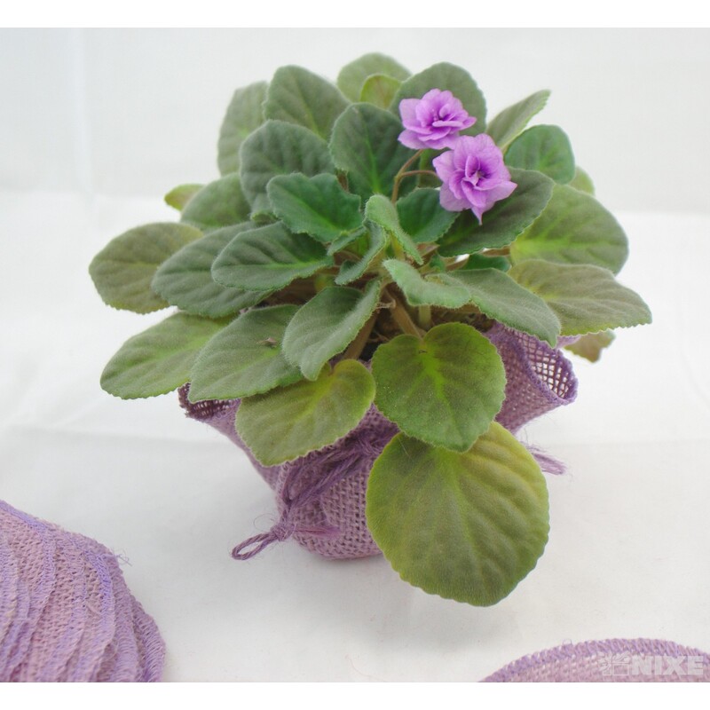 OBAL JUTA KRUH 28cm*MIX BAREV