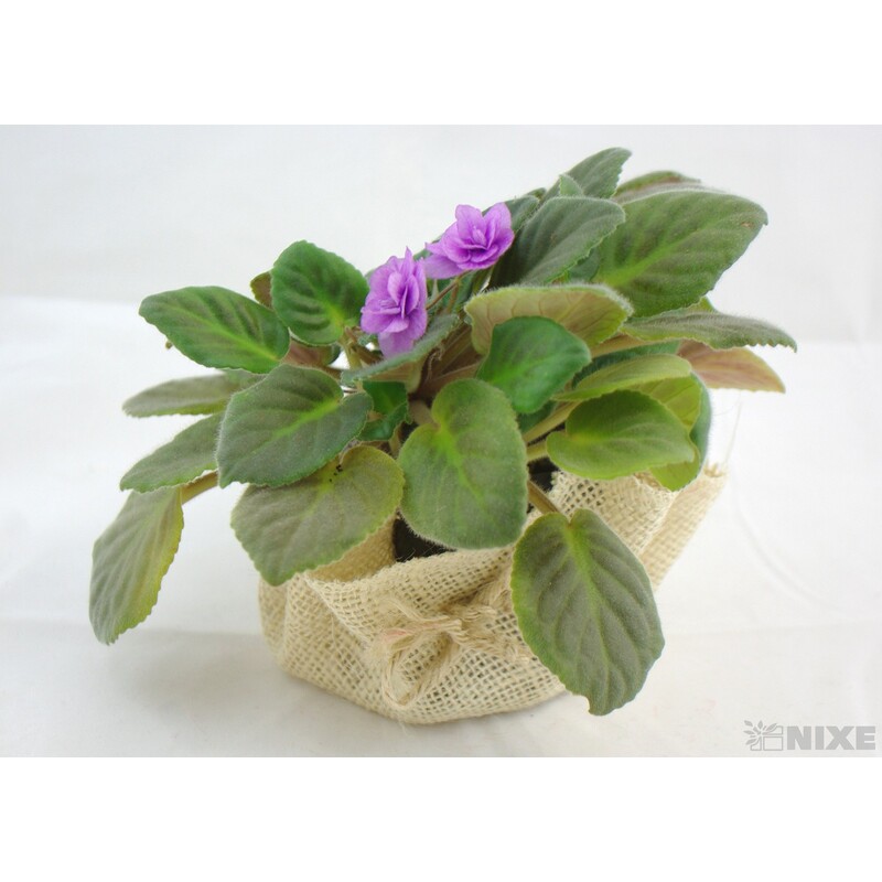 OBAL JUTA KRUH 28cm*MIX BAREV