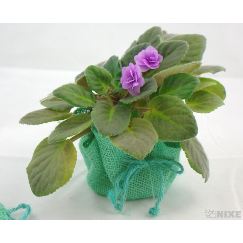 OBAL JUTA KRUH 28cm*MIX BAREV