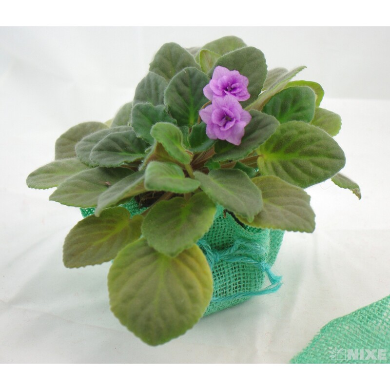 OBAL JUTA ČTVEREC 28cm*MIX BAREV