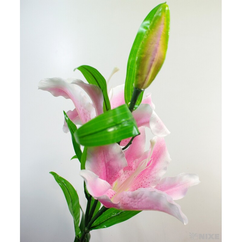 LILIE 110cm*RŮŽOVÁ SV.