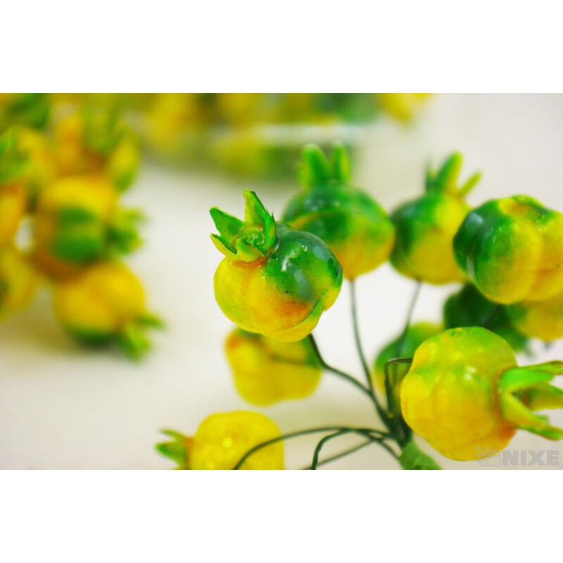 GRANÁT. JABLÍČKA 2,5x11cm 12ks 12sv*ZELENÁ+ŽLUTA