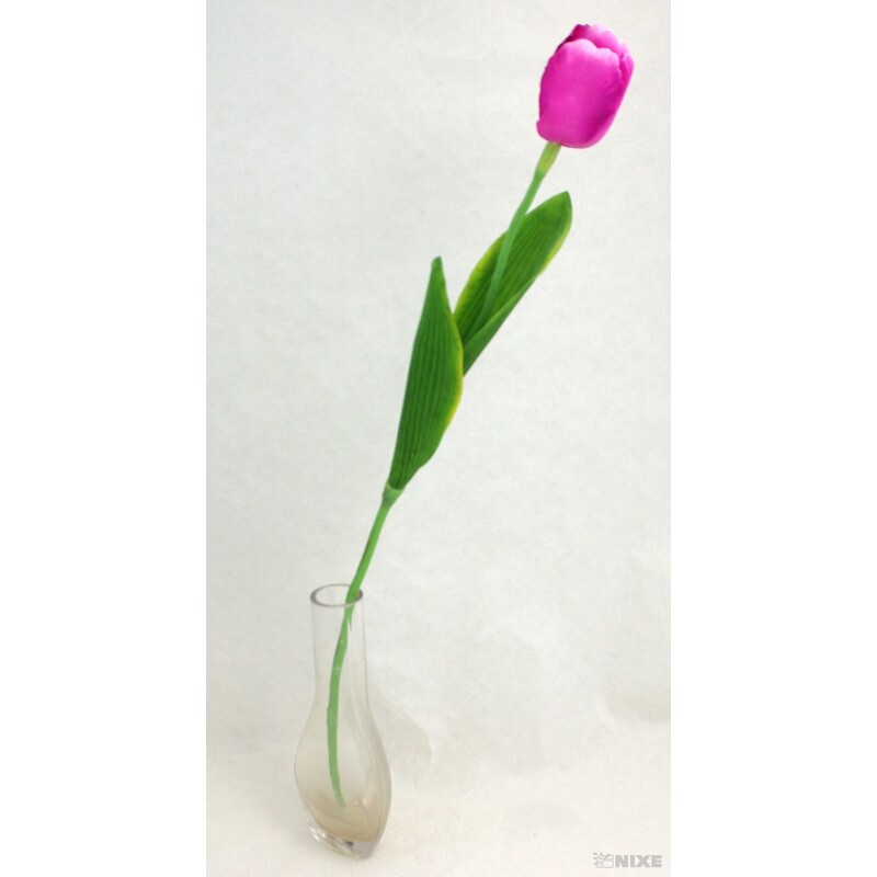 TULIPÁN 7x63cm*FIALOVÁ