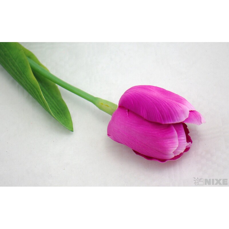 TULIPÁN 7x63cm*FIALOVÁ