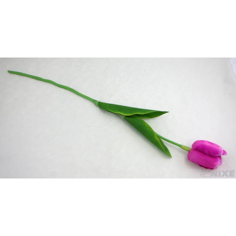 TULIPÁN 7x63cm*FIALOVÁ
