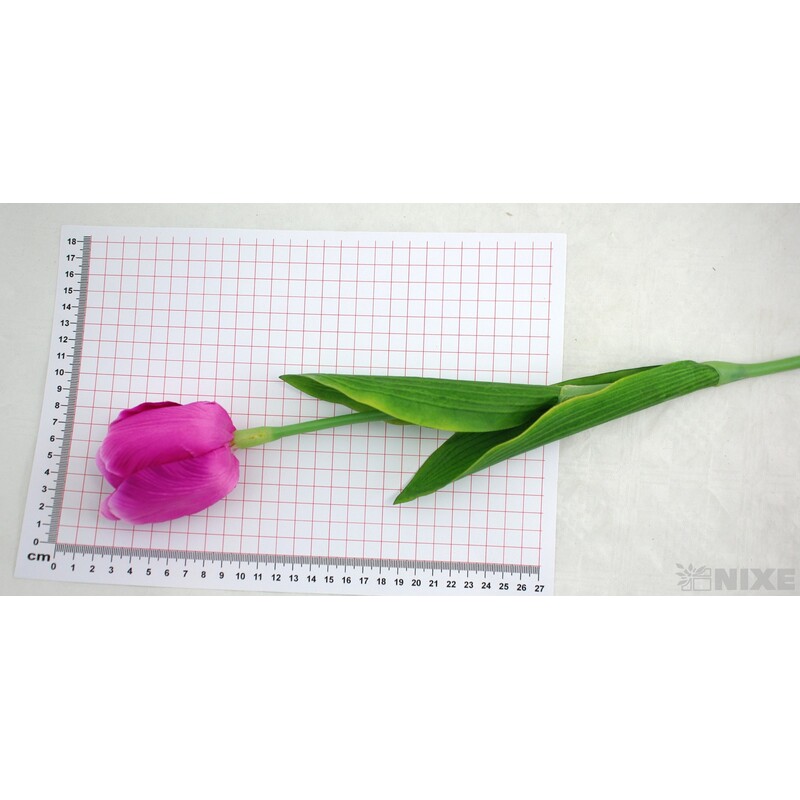 TULIPÁN 7x63cm*FIALOVÁ