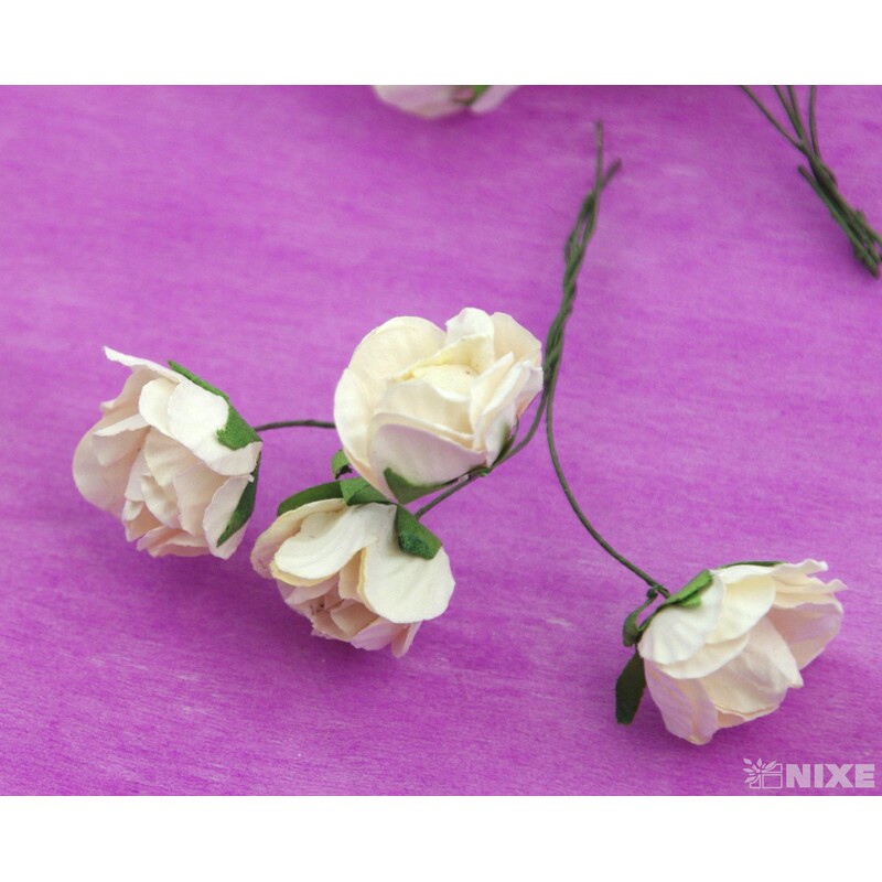 KYTIČKA RŮŽE 2x7cm 20ks 5sv*MIX BAREV