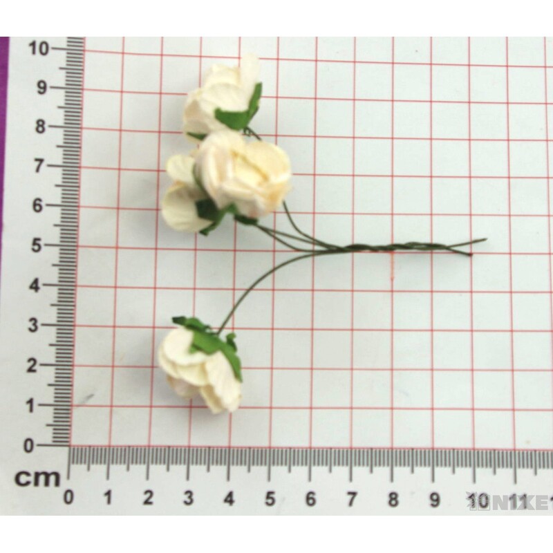 KYTIČKA RŮŽE 2x7cm 20ks 5sv*MIX BAREV