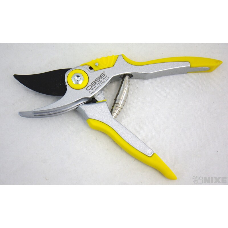 NŮŽKY ZAHRADNÍ OASIS*