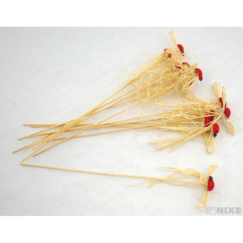 ZÁPICH BERUŠKA 1x20cm*MIX BAREV