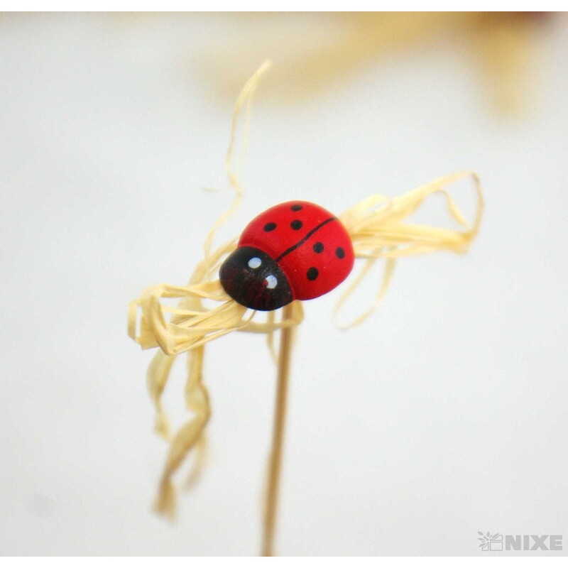 ZÁPICH BERUŠKA 1x20cm*MIX BAREV