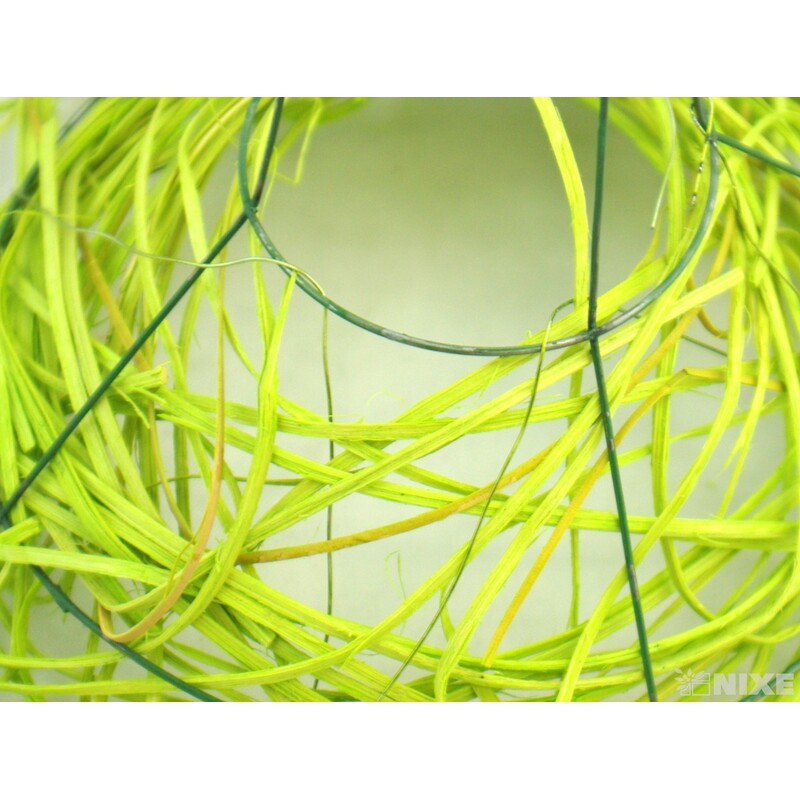 PODLOŽKA SLÁMA KRUH 25x11cm 20x9 15x5*MIX BAREV