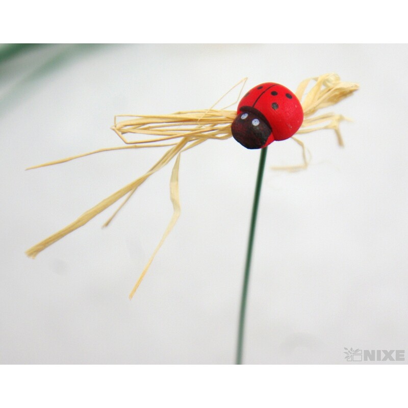 ZÁPICH BERUŠKA 12ks 1x20cm*ČERVENÁ