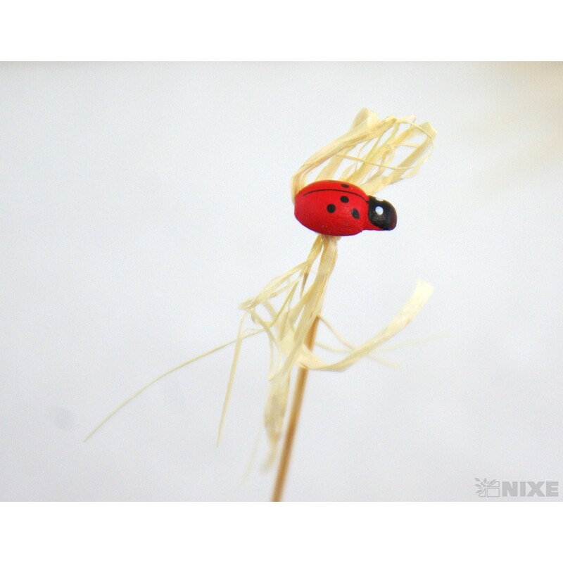 ZÁPICH BERUŠKA 12ks 1x20cm*ČERVENÁ