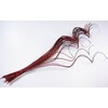 CURLY WILLOW HALF 60cm*HNĚDÁ