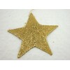 HVĚZDA 29cm*ZLATÁ