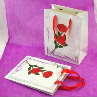 TAŠKA LUX HS MIX 18x23x10cm*