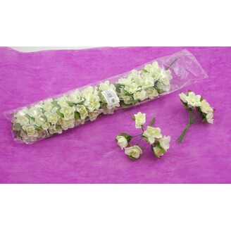 KYTIČKA 1,5x10cm 6ks 12sv*KRÉMOVÁ