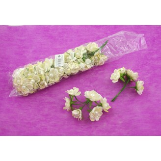 KYTIČKA PERLA 2x10cm 6ks 10sv*KRÉMOVÁ