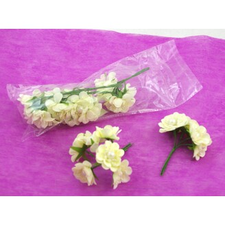 KYTIČKA PERLA 2x11cm 6ks 6sv*KRÉMOVÁ