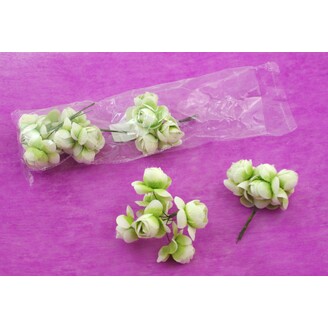 KYTIČKA 2,5x10cm 6ks 6sv*ZELENÁ