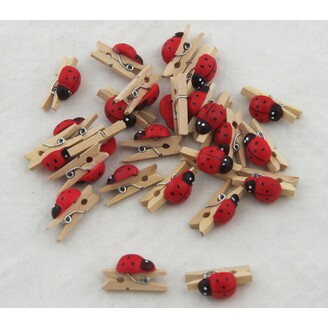 OZDOBNÝ KOLÍČEK BERUŠKA 1x2,5cm 24ks*