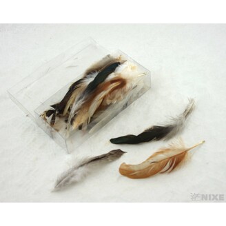 PEŘÍČKA BOX 144ks*PŘÍRODNÍ