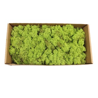 MECH 500g*ZELENÁ SV.