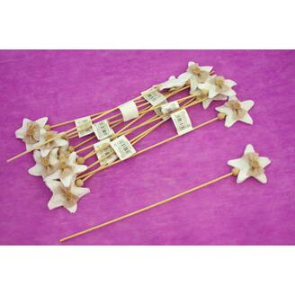 ZÁPICH HVĚZDA 12ks 7x32cm*MIX BAREV