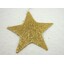 HVĚZDA 29cm*ZLATÁ