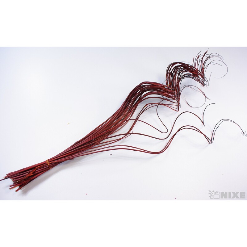 CURLY WILLOW HALF 60cm*HNĚDÁ