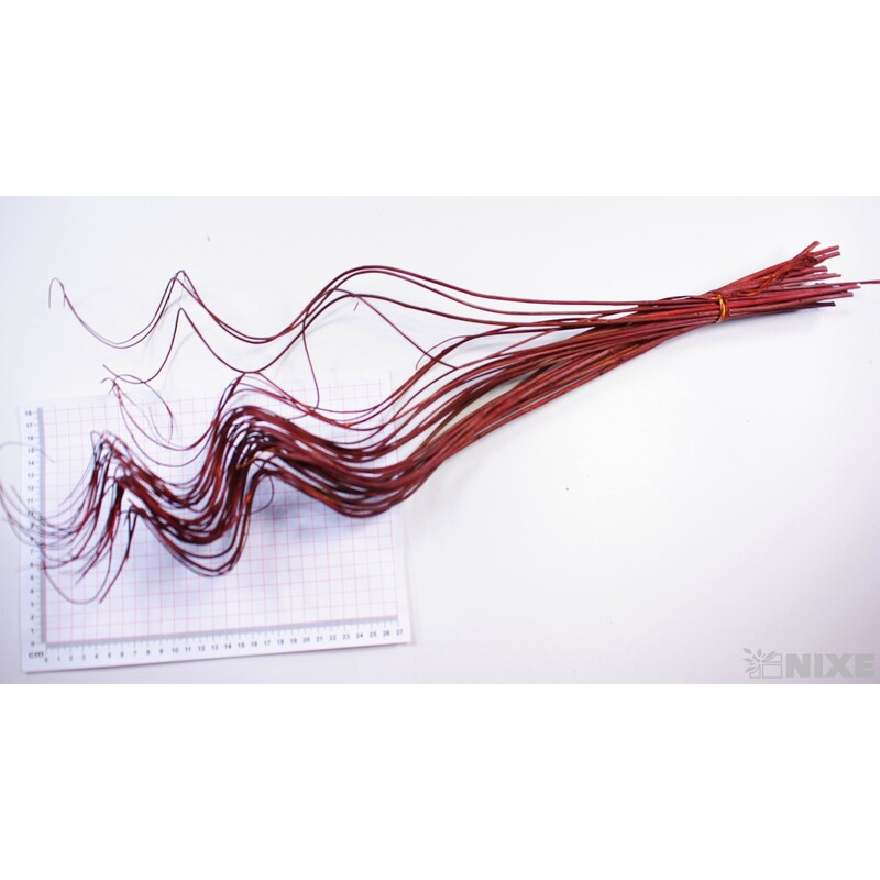 CURLY WILLOW HALF 60cm*HNĚDÁ