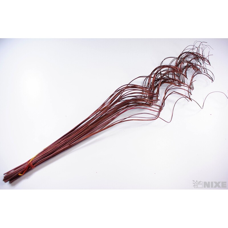 CURLY WILLOW HALF 80cm*HNĚDÁ