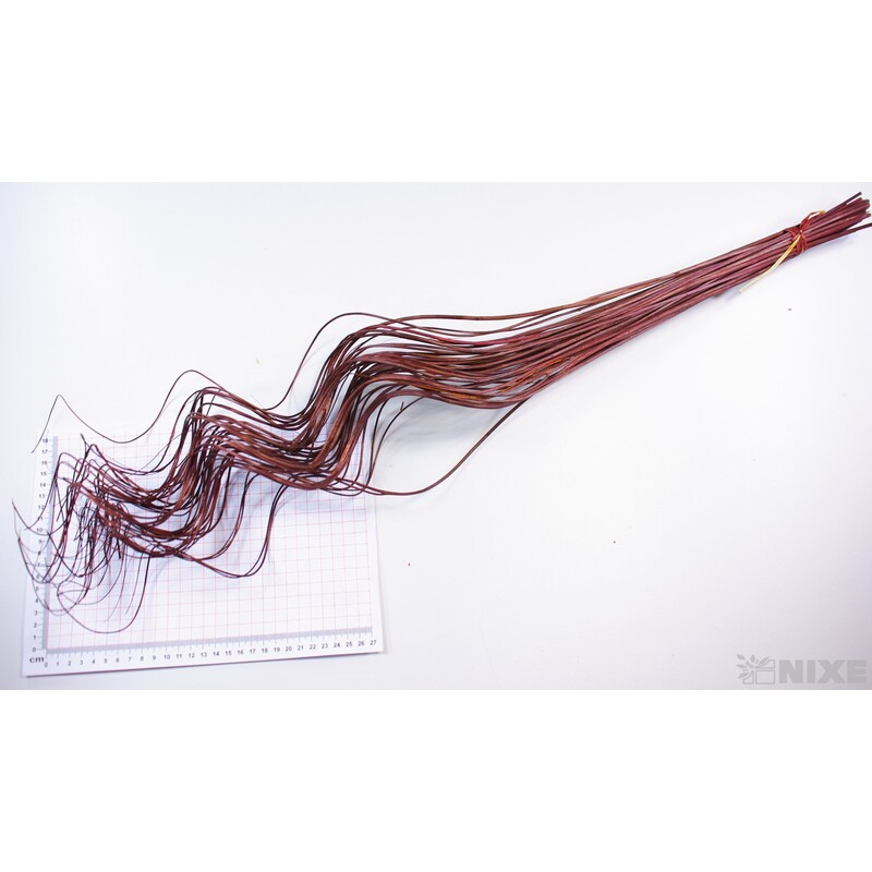 CURLY WILLOW HALF 80cm*HNĚDÁ