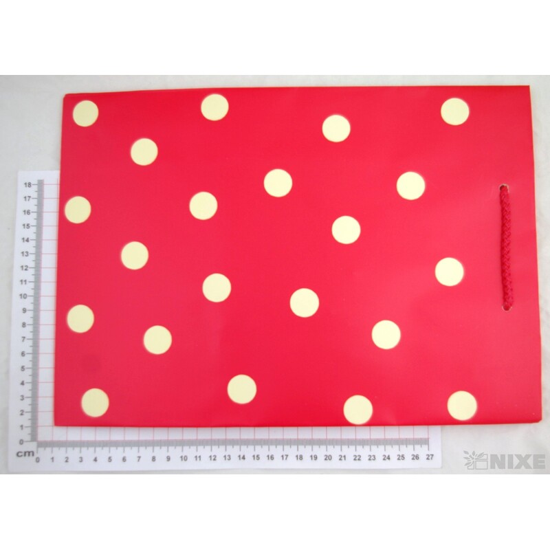 TAŠKA X PUNTÍK 24x33x12cm V+